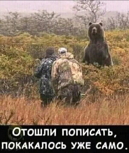 ОіоційЙ поййсАть покдкялось уже САМО