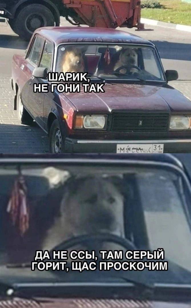 ДА НЕ ССЫ ТАЙСЕРЫЙ ЧРИТ ЩАС ПРОСКОЧИМ