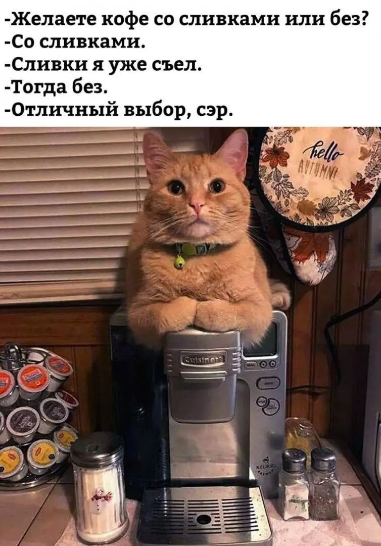 Желаете кофе со сливками или без Со сливками Сливки я уже съел огда без 0тличный выбор сэр