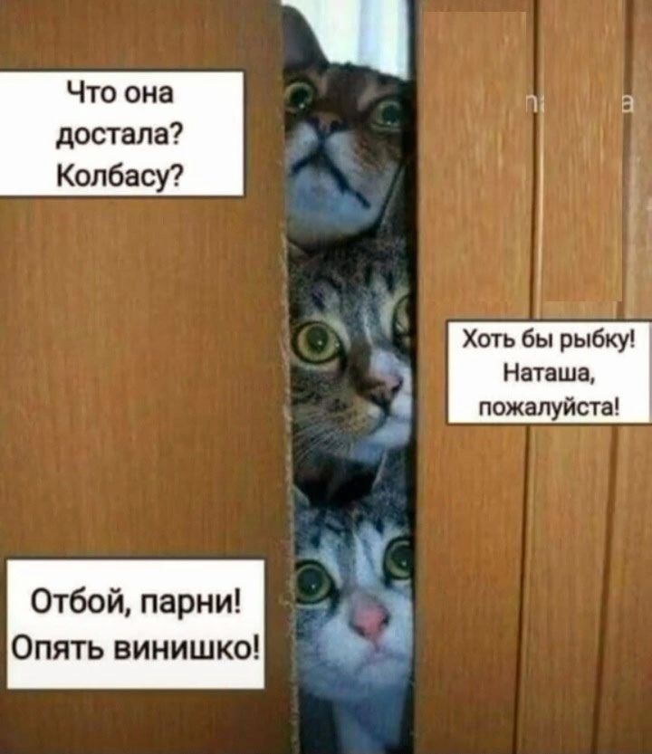 м Ъ ыь бы рыбку Наташе пожалуйста Отбой парни Опять винишко