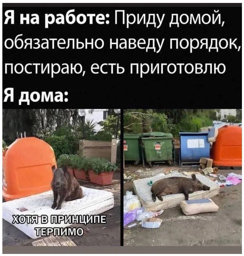 Я на работе Приду домой обязательно наведу порядок постираю есть приготовлю