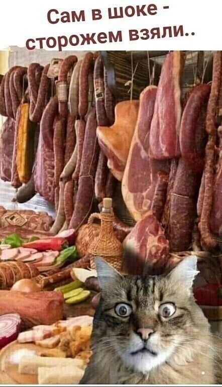 Сам в шоке