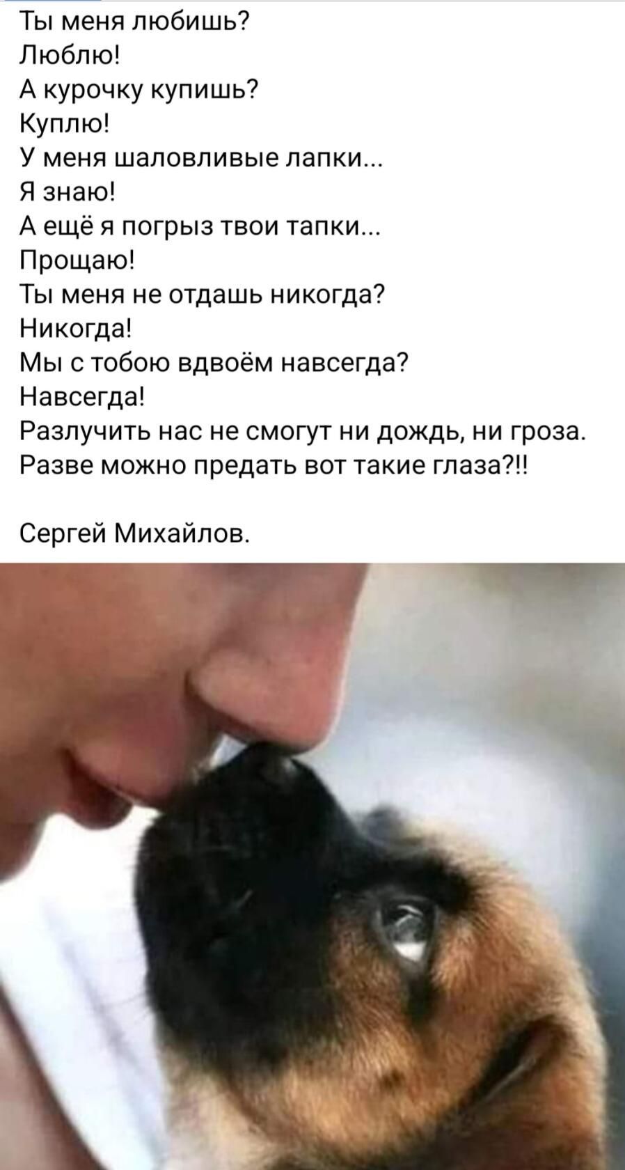 Ты меня любишь Люблю А курочку купишь Куплю У меня шаловливые папки Я знаю А ещё я погрыз твои тапки Прощаю Ты меня не отдашь никогда Никогда Мыс тобою вдвоём навсегда Навсегда РЭЗЛУЧИТЬ НВС не СМОГУТ НИ дождь НИ гроза Разве можно предать вот такие гпаза Сергей Михайлов