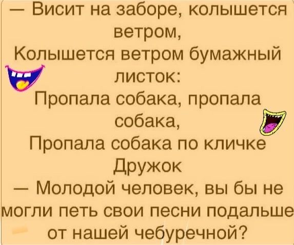 Висит на заборе колышется ветром Колышется ветром бумажный листок Пропала собака пропала собака Пропала собака по кличке ДРУЖОК Молодой человек вы бы не могли петь свои песни подальше от нашей чебуречной