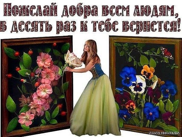 Папаша шт заводят с в 15 вшита