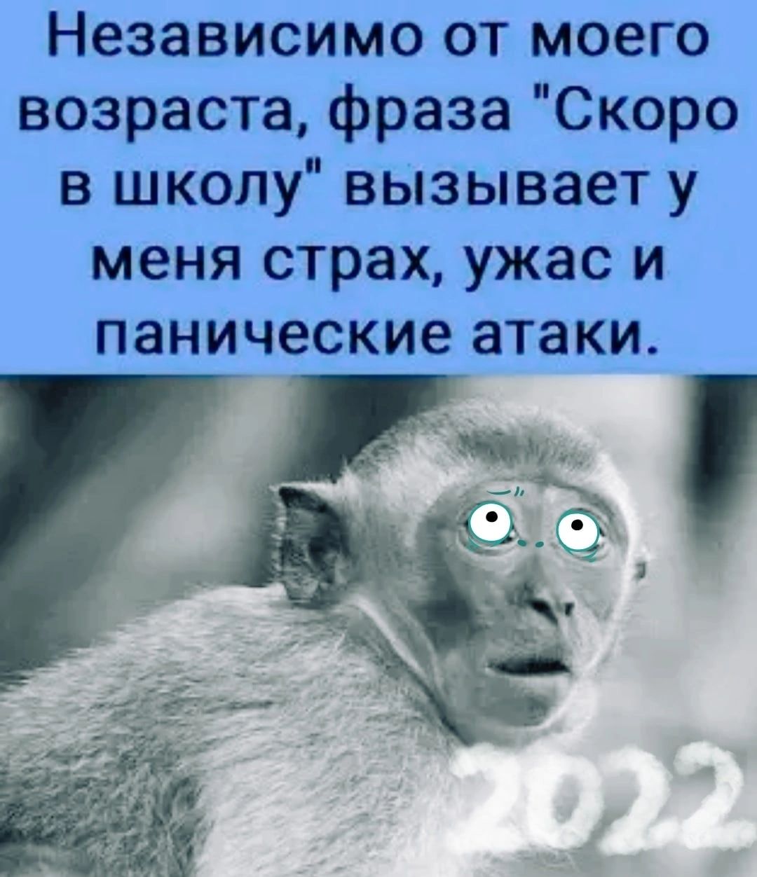 Независимо от моего возраста фраза Скоро в школу вызывает у МЕНЯ страх ужас И панические атаки