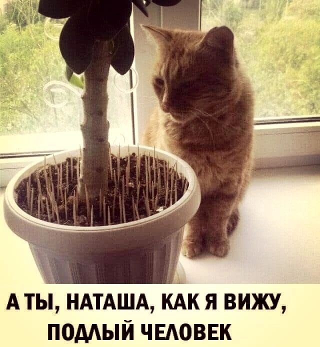 А ты НАТАЩА КАК я вижу помый чыюввк