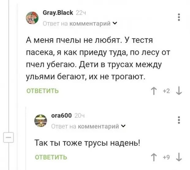 сипи ск коммщ трии А меня пчелы не любят У тестя пасека я как приеду туда по лесу от пчел убегаю Дети в трусах между упьями бегают их не трогают ответить Т 2 е опыт комментцрни Так ты тоже трусы надень ответить 1 а