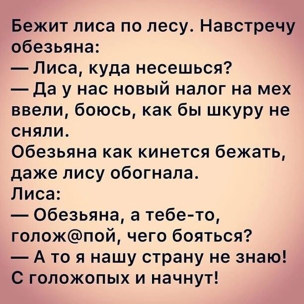 Бежит лиса по лесу Навстречу обезьяна Лиса куда несешься Да у нас новый налог на мех ввели боюсь как бы шкуру не сняли Обезьяна как кинется бежать даже лису обогнала Лиса Обезьяна а тебе то голожпой чего бояться А то я нашу страну не знаю С голожопых и начнут