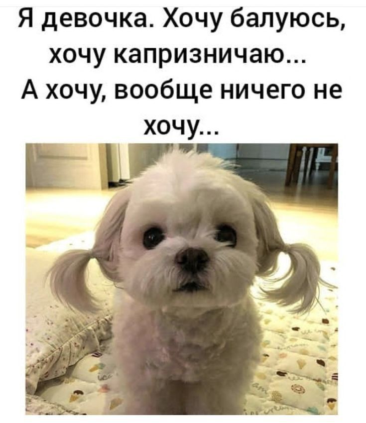 Я девочка Хочу балуюсь хочу капризничаю А хочу вообще ничего не хочу іі