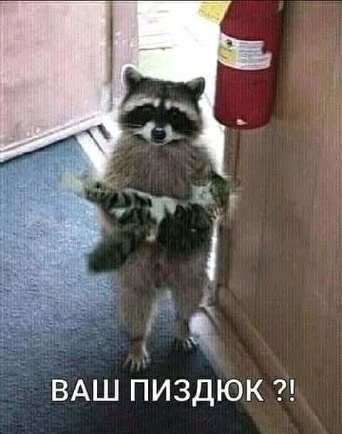 ВАШ ПИЗДЮК
