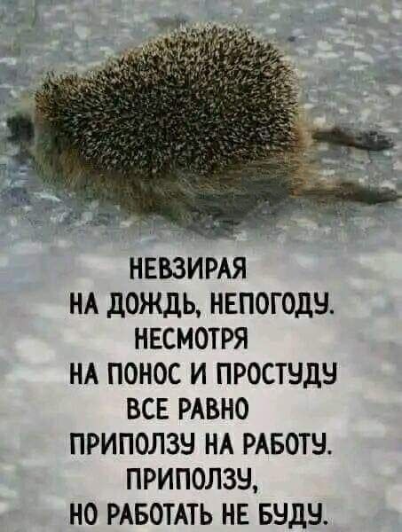 НЕВЗИРАЯ НА дождь НЕПОГОДЧ НЕСМОТРЯ НА ПОНОС И ПРОСТЧДН ВСЕ РАВНО ПРИПОЛЗЧ НА РАБОТЕ ПРИПОЛЗН НО РАБОТАТЬ НЕ БНДН