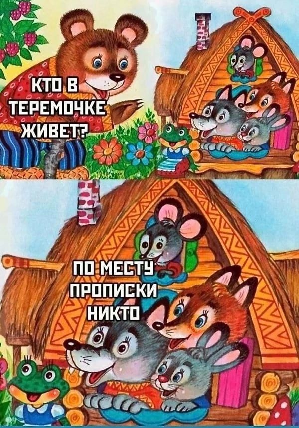 саг плмЕЕТЦ примут ник тп