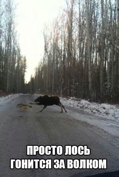 00 0 ШНИТВН ЗА ВШПШМ