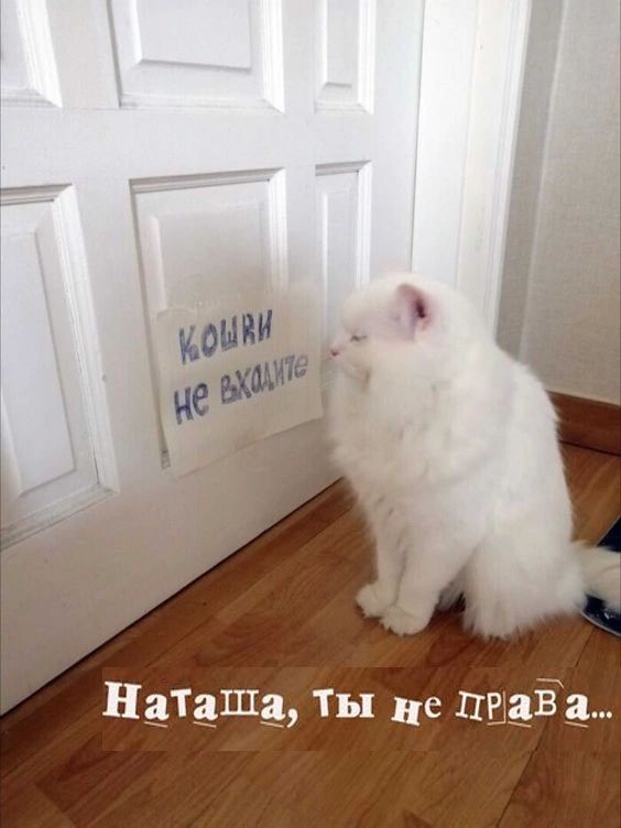 НЗТВШЁЬ Ты не 3813 8