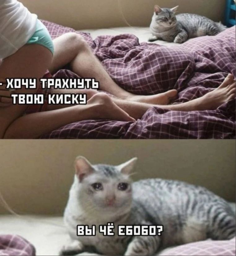 вььнЁ ЕЕПЁП