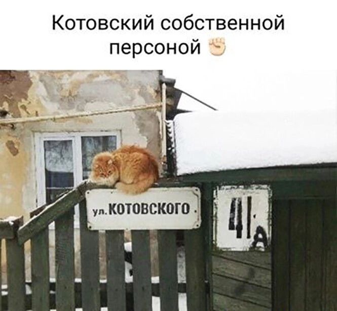 Котовский собственной персоной