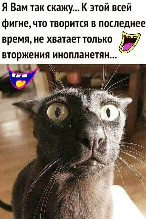 Я Вам так скажу К этой всей фигне что творится в последнее время не хватает только вторжения инопланетян