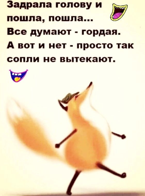 Задрапа голову и Б пошла пошла Все думают гордая А вот и нет просто так сопли не вытекают