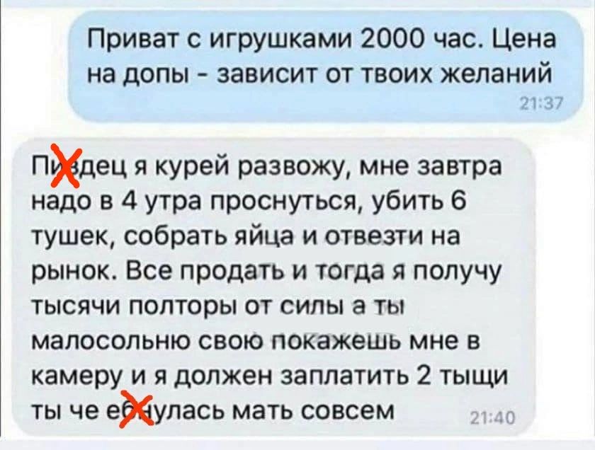 Приват игрушками 2000 час Цена на дОПЫ ЗЗЕИСИТ ОТ ТВОИХ желаний и 37 пидец я курей развожу мне завтра надо в 4 утра проснуться убить 6 тушек собрать яйца и отвезти на рынок Все продать И тогда Я получу тысячи полторы от силы а ты МВПОСОПЬНЮ СВОЮ покажешь мне В камеру и я должен заплатить 2 тыщи ты че еИупась мать совсем