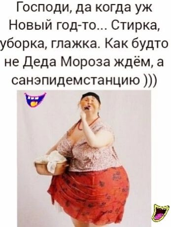 Господи да когда уж Новый год то Стирка уборка глажка Как будто не деда Мороза ждём а санэпидемстанцию