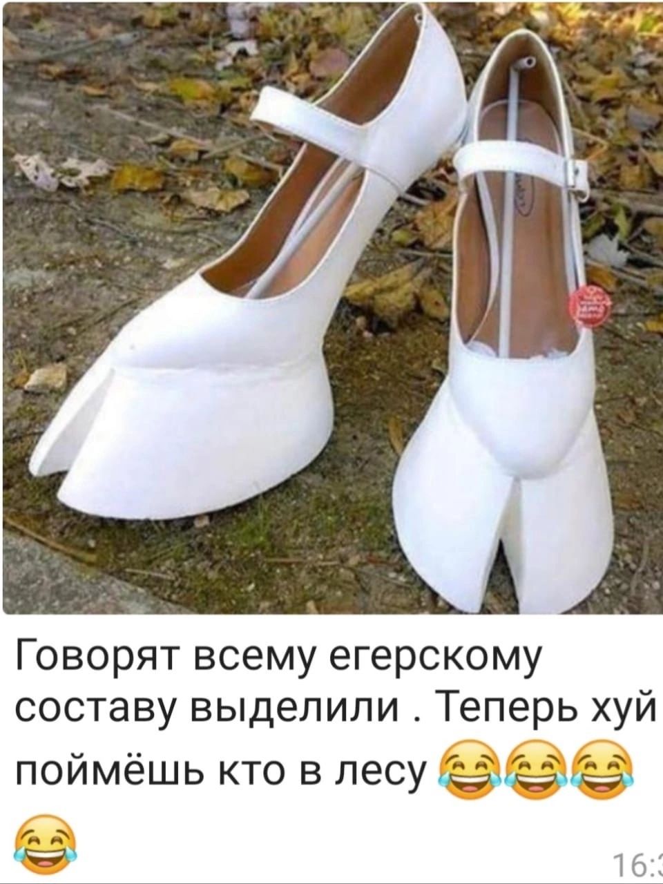 Говорят всему егерскому составу выделили Теперь хуй поймёшь кто в лесу азёё 0174 МЦ