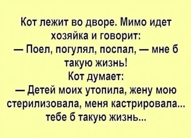 Кот лежит во дворе Мимо идет хозяйка и говорит Поеп погупяп поспал мне 6 такую жизнь Кот думает детей моих утопипа жену мою стерилизовапа меня кастрировапа тебе 6 такую жизнь