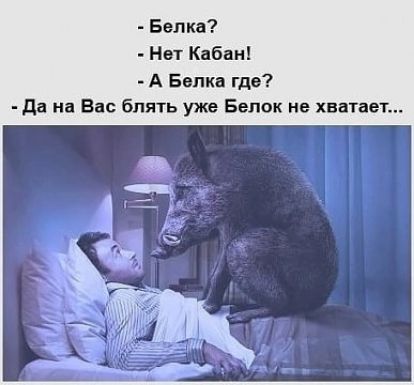 Балка Нет Квбаи А Бвпка где да на Вас блять уже Белок не хватает