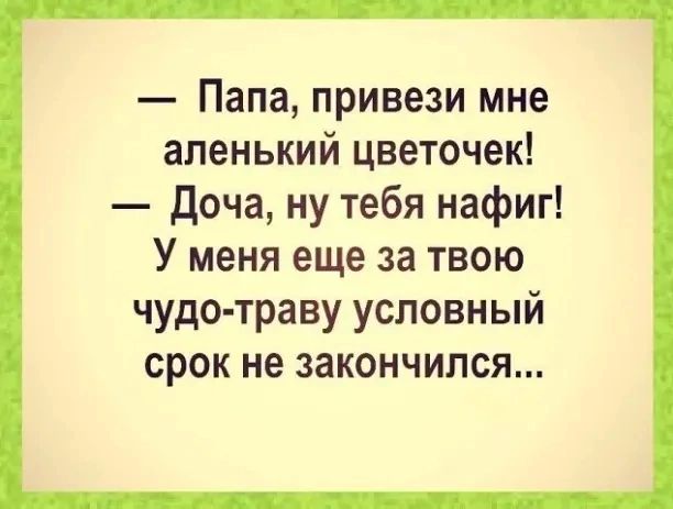 Папа привези мне апенький цветочек доча ну тебя нафиг У меня еще за твою чудо траву условный срок не закончился