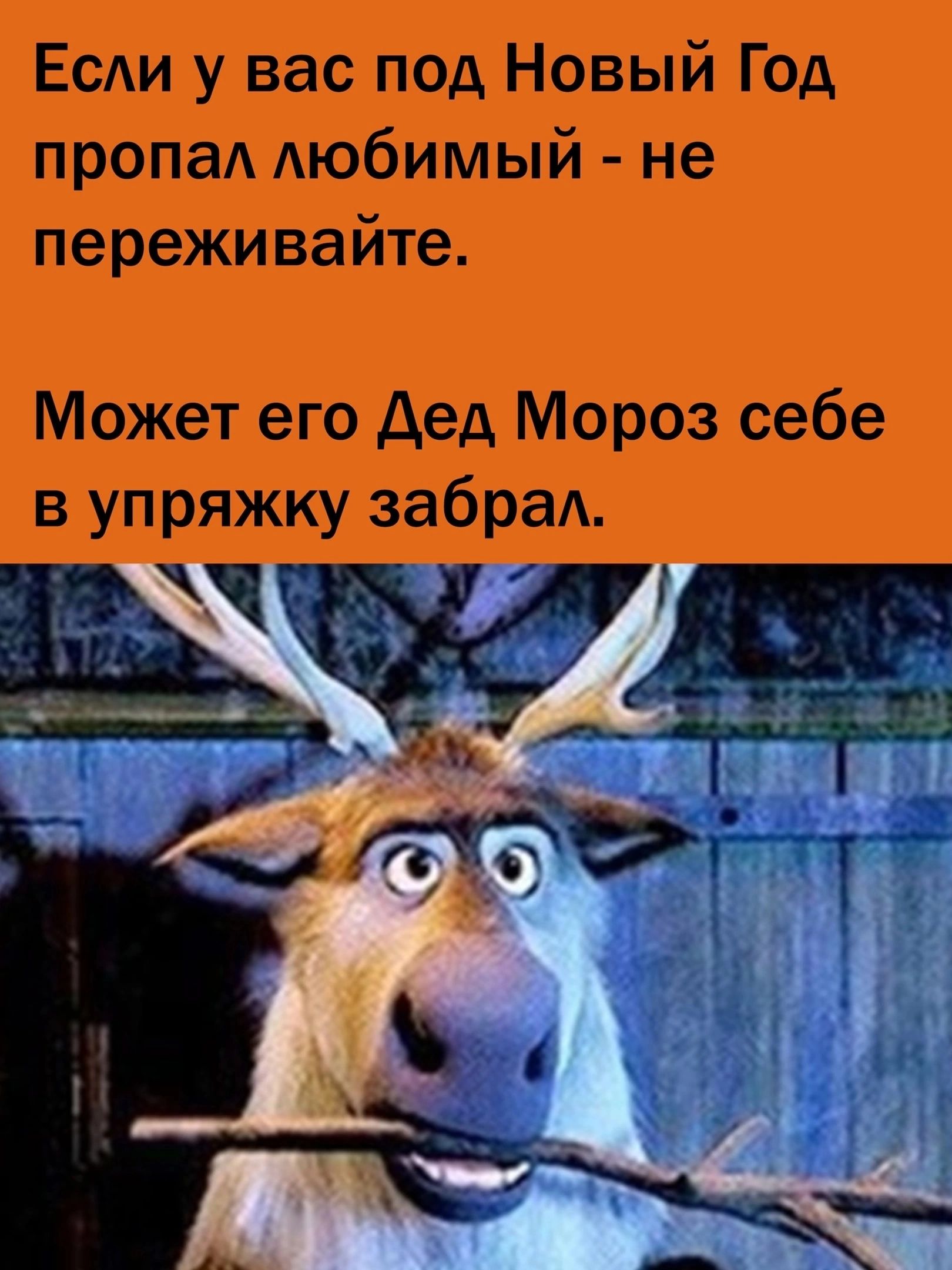 Если у вас под Новый Год пропаА АЮбИМЫЙ не переживайте Может его Дед Мороз себе в упряжку забраА