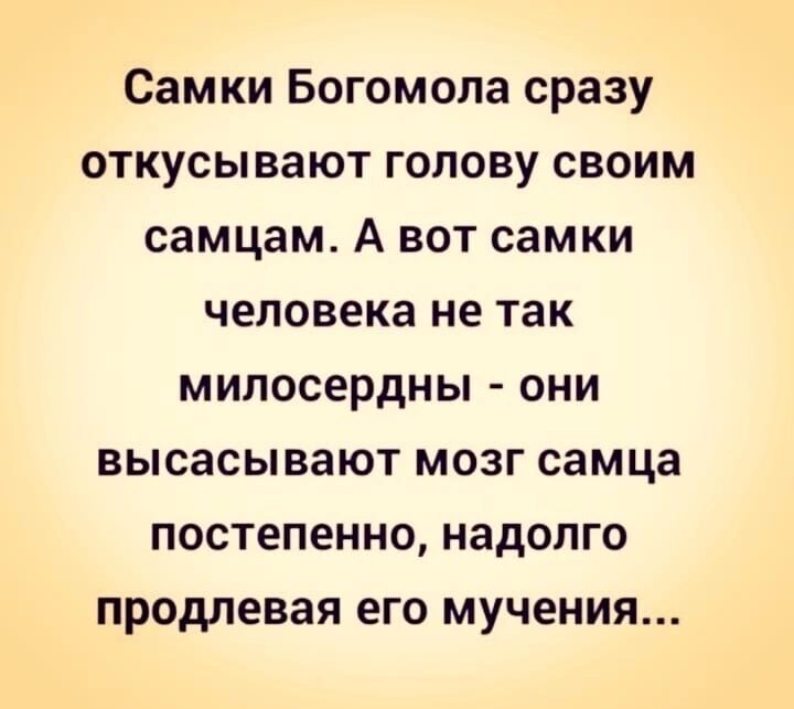 Самки Богомола сразу откусывают голову своим самцам А вот самки человека не так мипосердны они высасывают мозг самца постепенно надолго продлевая его мучения