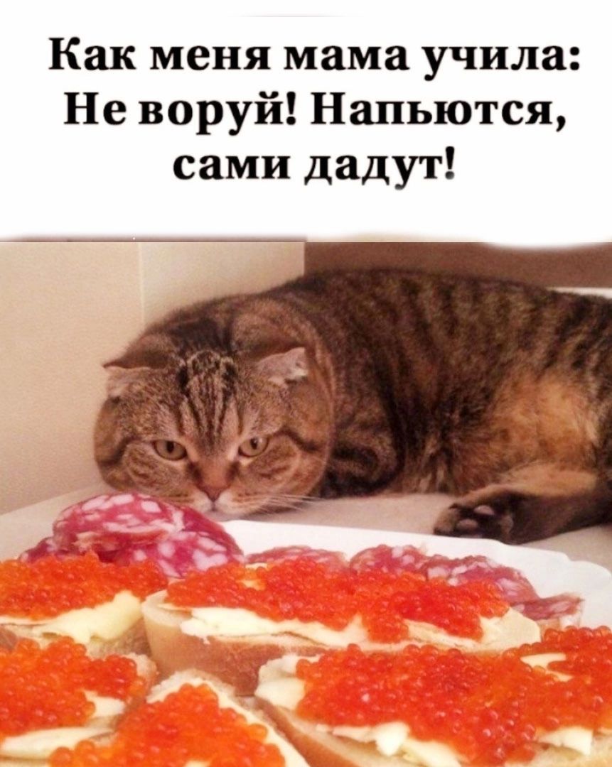 Как меня мама учила Не воруй Напьются сами дадут