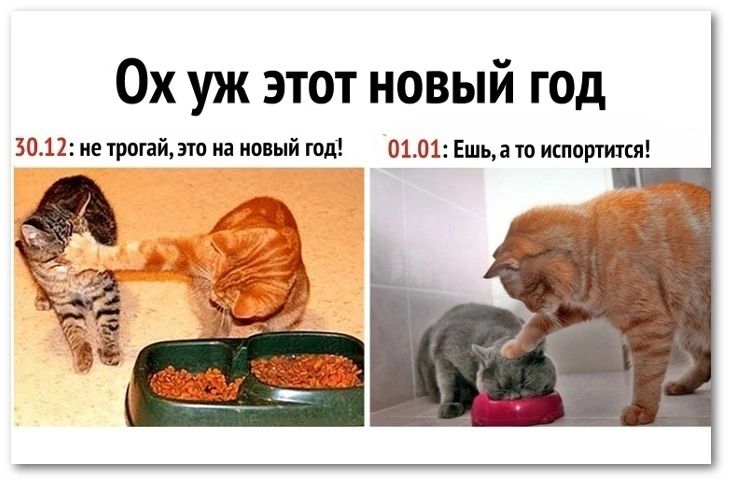 Ох уж этот новый год 3012 нищий иа ииый мд 0101 Ешып шприц