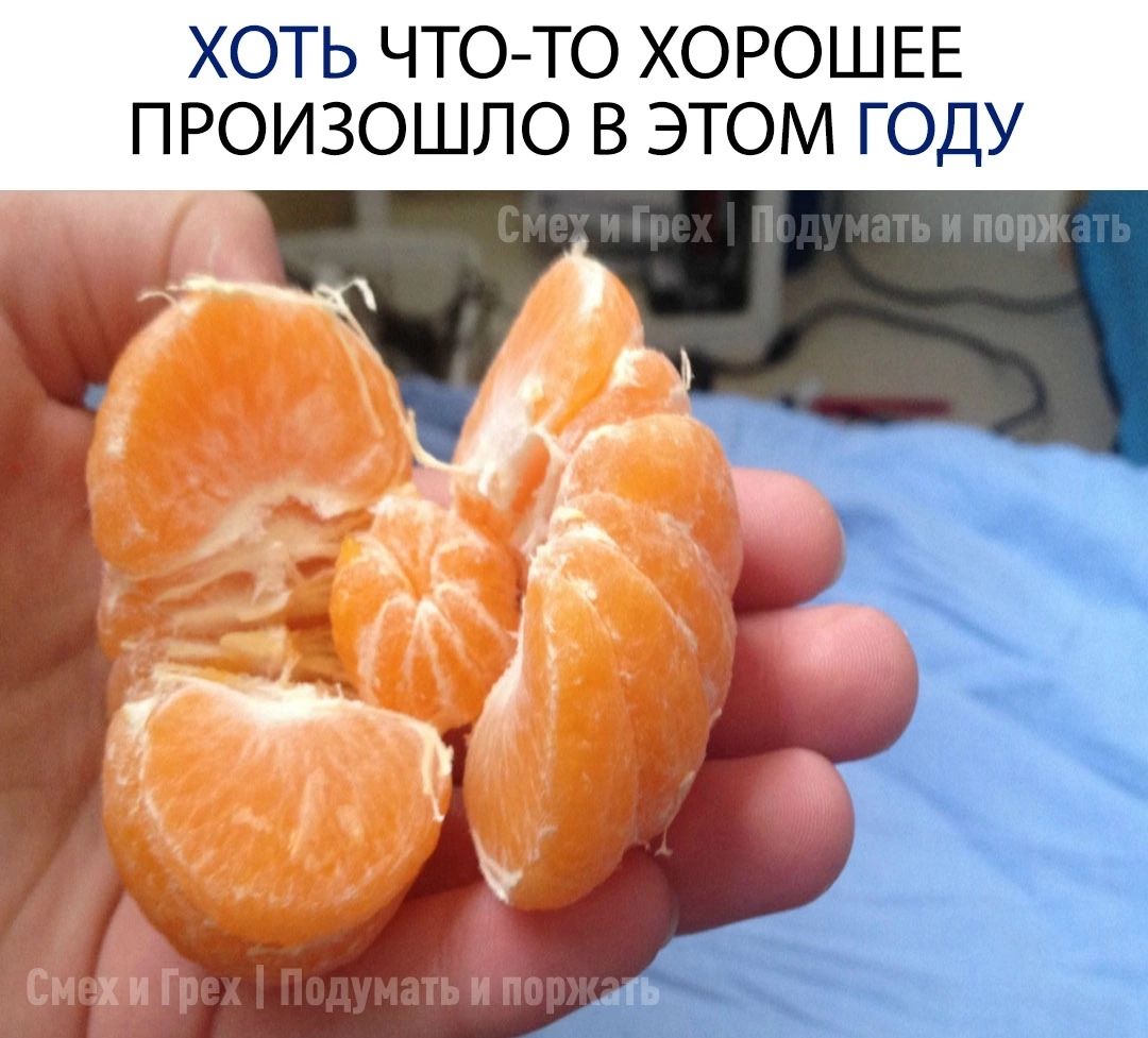 ХОТЬ ЧТО ТО ХОРОШЕЕ ПРОИЗОШЛО В ЭТОМ ГОДУ