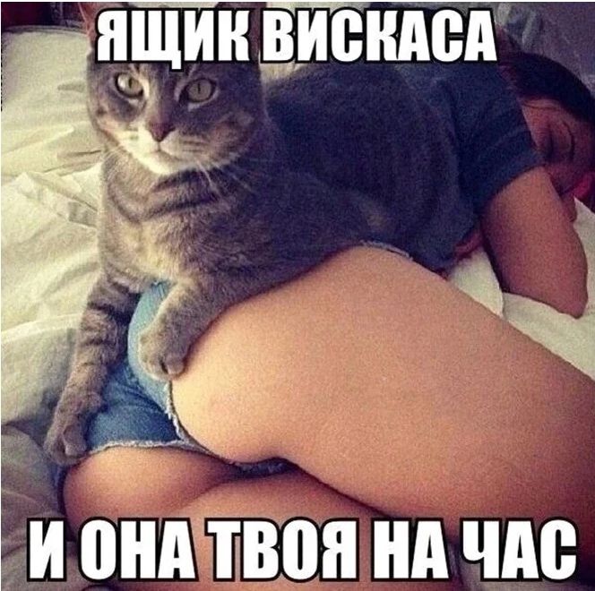 _ т и пндгтввн нд чм