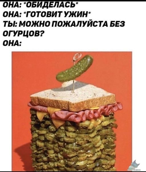ОНА ГОТОВИТ УЖИН ТЫ МОЖНО ПОЖАЛУЙСТА БЕЗ ОГУРЦОВ ОНА