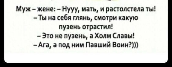 Мух жене Нууу мать растолстела Ты на себя глянь мптри какую пузекь отрастил Это не пузень а Холм Славы Ага а под ним Павший Впикт