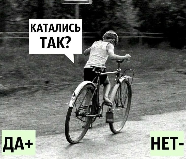 _ КАТАЛИСЬ