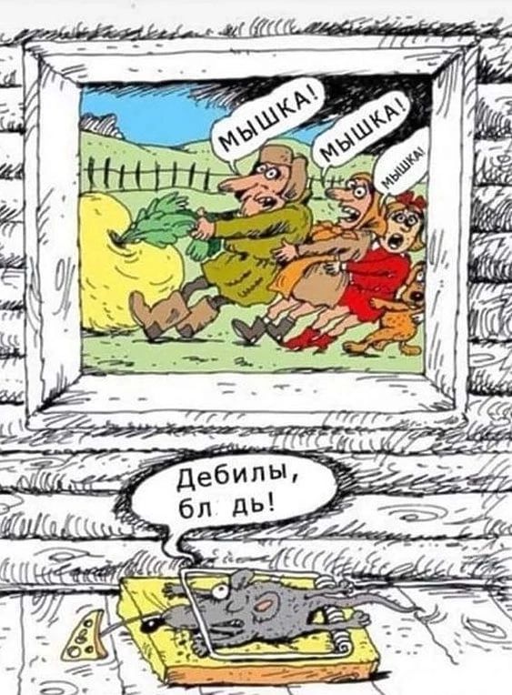 дебилы бл дь