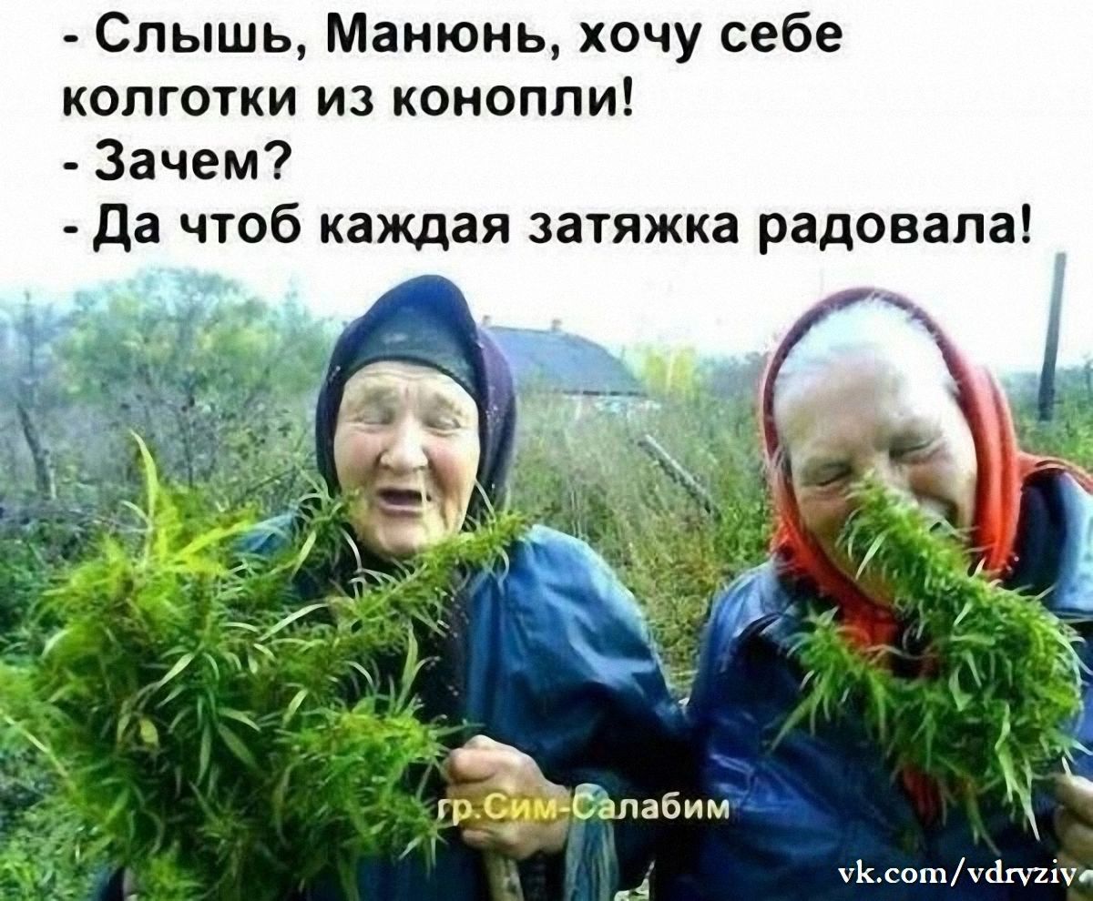 Слышь Манюиь хочу себе колготки из конопли Зачем да чтоб каждая затяжка радовала пт