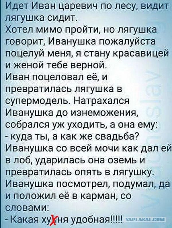 дет Иван царевич по лесу видйт лягушка сидит Хотел мимо пройти но лягушка говорит Иванушка пожалуйста поцелуй меня я стану красавицей и женой тебе верной Иван поцеловал её и превратилась лягушка в супермодель Натрахапся Иванушка до изнеможения собрался уж уходить а она ему куда ты а как же свадьба Иванушка со всей мочи как дал ей в лоб ударилась она оземь и превратилась опять в лягушку Иванушка по