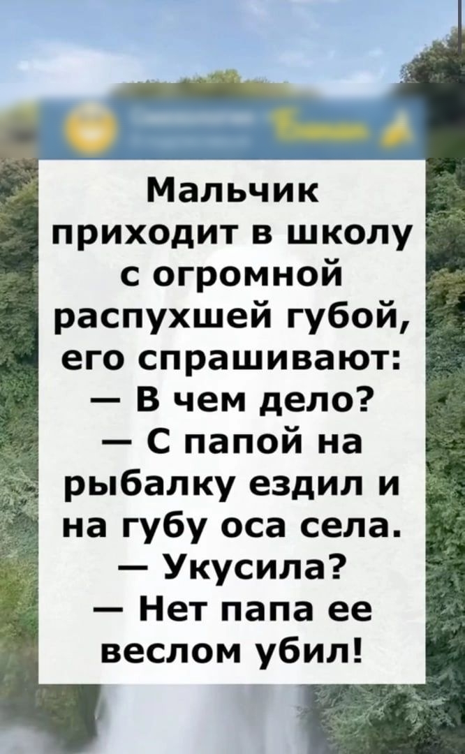 яы Мальчик приходит в школу с огромной распухшей губой его спрашивают В чем дело С папой на рыбалку ездил и на губу оса села Укусила Нет папа ее веслом убил