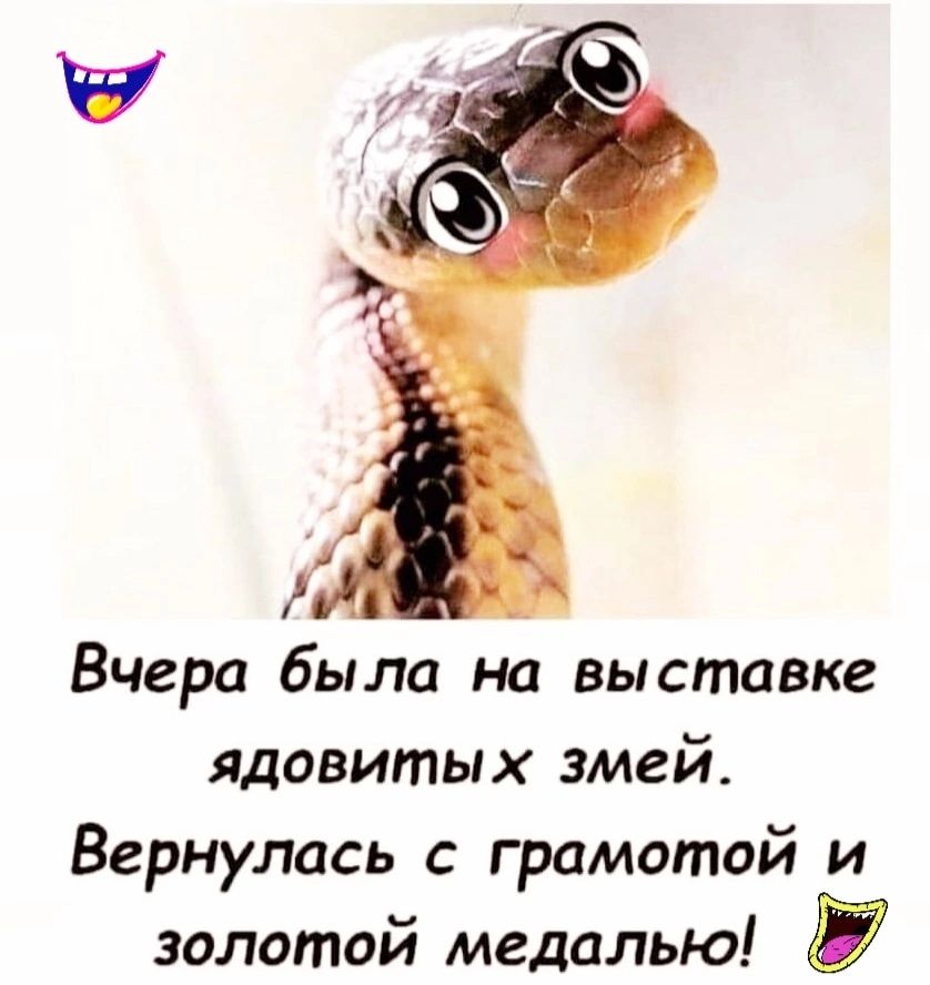 Вчера была на выставке ядовитых змей Вернулась с грамотой и золотой медалью и