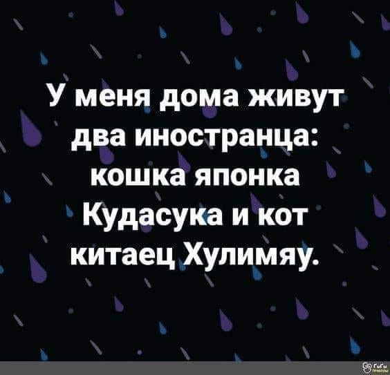 У меня дома живут два иностранца кошка японка Кудасука и кот китаец Хупимяу Эш