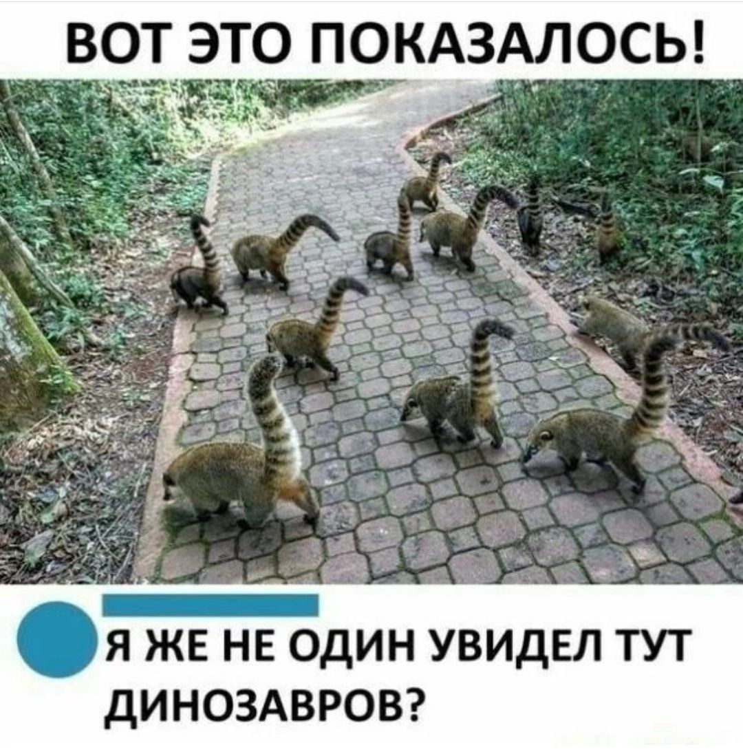 ВО ЭТО ПОКАЗАЛОСЬ Я ЖЕ НЕ ОДИН УВИДЕЛ ТУТ дИНОЗАВРОВ