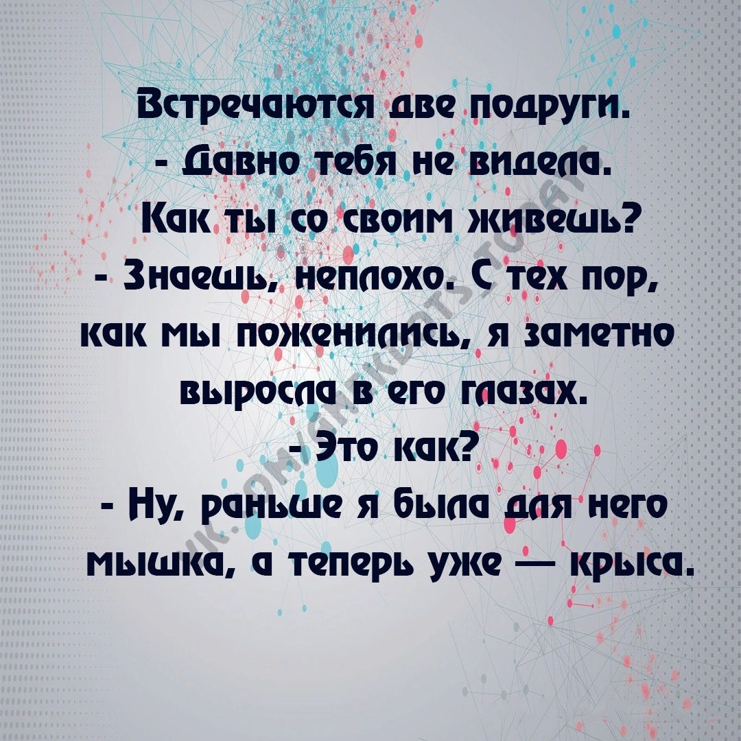 ВпречаюЁп дві подруги давно тебя ич видспп Как ты 9 своим живешь Знаешь нсйпохо С тех пор как мы пожеииппсь_я пттио вырошп в его глазах Это какд Ну рчиыш я была дня него мышки и топчрь уже крыш