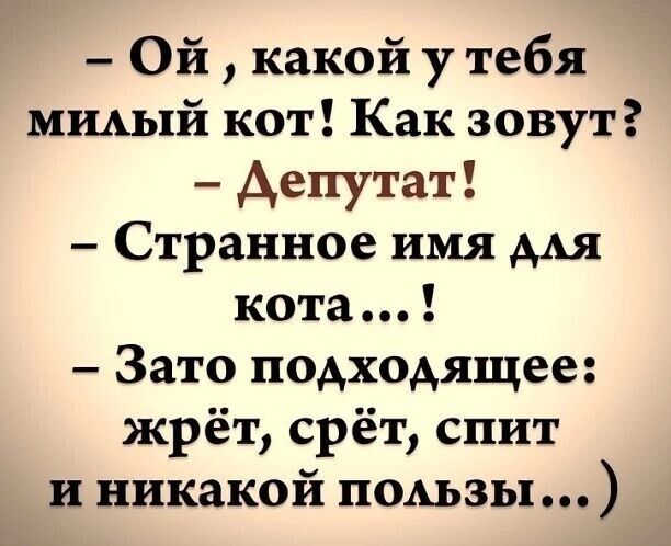 Ой какой у тебя мшый кот Как зовут депутат Странное имя ААЯ кота Зато подходящее жрёт срёт спит и никакой пользы