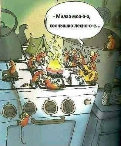 сплиышко песноо е