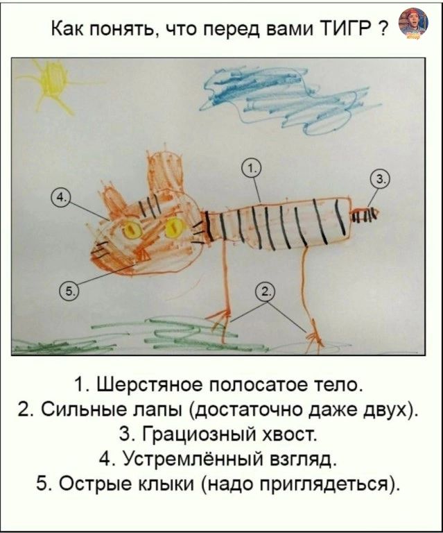 Как понять что перед вами ТИГР 1 Шерстяное полосатое тепо 2 Сильные папы достаточно даже двух Зи Грациозный хвост 4 Устремпённый взгляд 5 Острые клыки надо приглядеться
