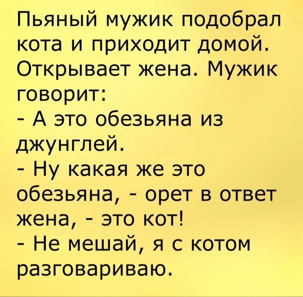 Пьяный мужик подобрал кота и приходит домой Открывает жена Мужик говорит А это обезьяна из джунглей Ну какая же это обезьяна орет в ответ жена это кот Не мешай я с котом разговариваю